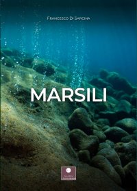 Immagine copertina libro Marsili