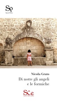 Immagine copertina libro Di notte gli angeli e le formiche