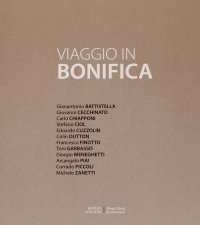 Immagine copertina libro Viaggio in bonifica