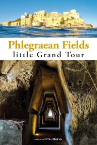 Immagine copertina libro Phlegraean Fields. Little grand tour