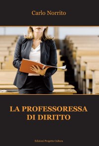Immagine copertina libro La professoressa di diritto