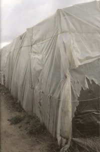 Immagine copertina libro Home. Ediz. illustrata