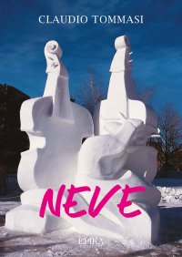 Immagine copertina libro Neve