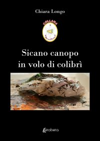 Immagine copertina libro Sicano canopo in volo di colibrì