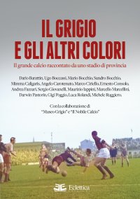 Immagine copertina libro Il grigio e gli altri colori. Il grande calcio raccontato da uno stadio di provincia. Ediz. a colori