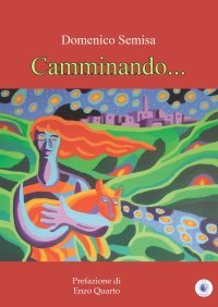 Immagine copertina libro Camminando...