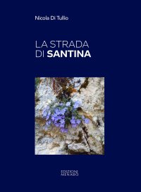 Immagine copertina libro La strada di Santina