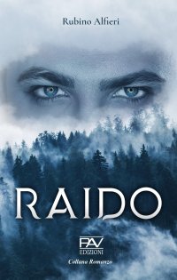 Immagine copertina libro Raido