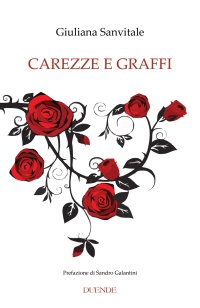 Immagine copertina libro Carezze e graffi