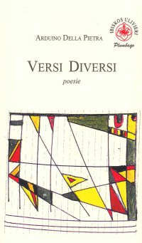 Immagine copertina libro Versi diversi