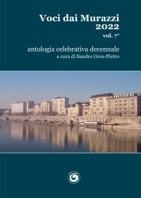 Immagine copertina libro Voci dai Murazzi. Vol. 7
