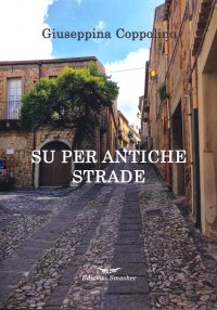 Immagine copertina libro Su per antiche strade