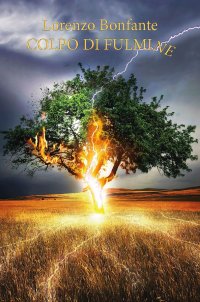 Immagine copertina libro Colpo di fulmine. Ediz. integrale