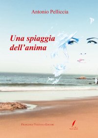 Immagine copertina libro Una spiaggia dell'anima