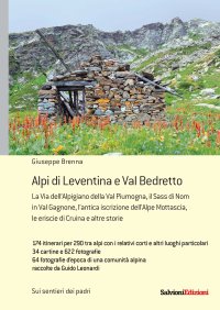 Immagine copertina libro Alpi di Leventina e Bedretto