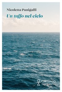 Immagine copertina libro Un tuffo nel cielo