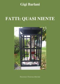 Immagine copertina libro Fatti: quasi niente