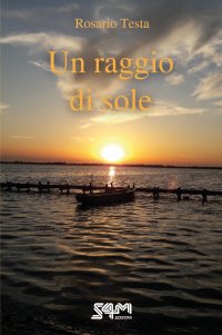 Immagine copertina libro Un raggio di sole