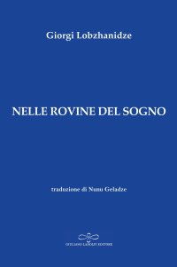 Immagine copertina libro Nelle rovine del sogno