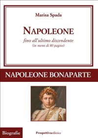 Immagine copertina libro Napoleone fino all'ultimo discendente (in meno di 80 pagine)