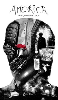 Immagine copertina libro America