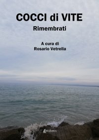 Immagine copertina libro Cocci di vite. Rimembrati