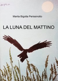 Immagine copertina libro La luna del mattino
