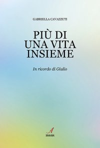 Immagine copertina libro Più di una vita insieme. In ricordo di Giulio