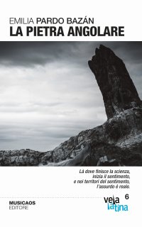 Immagine copertina libro La pietra angolare