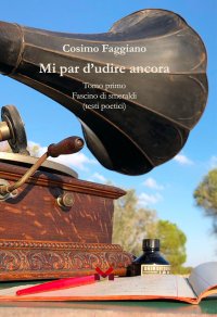 Immagine copertina libro Mi par d'udire ancora