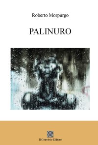 Immagine copertina libro Palinuro