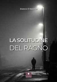 Immagine copertina libro La solitudine del ragno