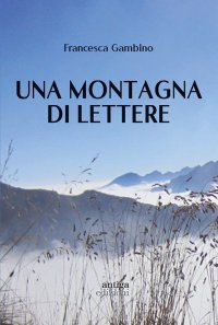 Immagine copertina libro Una montagna di lettere