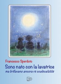 Immagine copertina libro Sono nato con la lavatrice ma brillavano ancora rë ccalëcalàššë