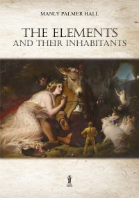 Immagine copertina libro The elements and their inhabitants