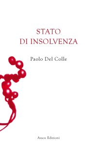 Immagine copertina libro Stato di insolvenza