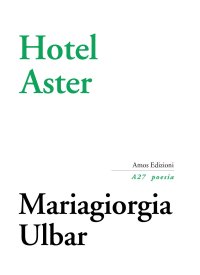 Immagine copertina libro Hotel Aster