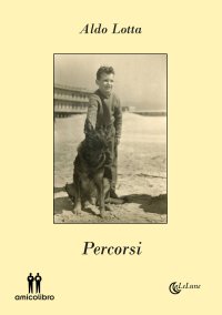 Immagine copertina libro Percorsi