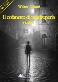 Immagine copertina libro Il cofanetto di madreperla