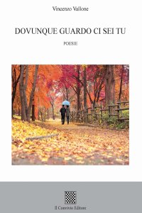 Immagine copertina libro Dovunque guardo ci sei tu
