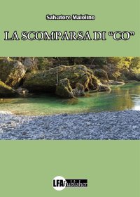 Immagine copertina libro La scomparsa di «co»