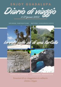 Immagine copertina libro In volo sulle ali di una farfalla. Emozioni di un viaggiatore in solitaria