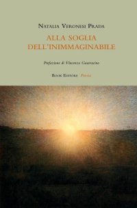 Immagine copertina libro Alla soglia dell'inimmaginabile