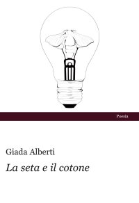 Immagine copertina libro La seta e il cotone