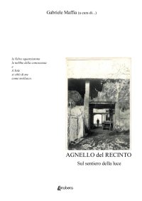Immagine copertina libro Agnello del recinto. Sul sentiero della luce