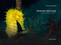 Immagine copertina libro Destrieri del mare. I cavallucci marini in Calabria. Ediz. a colori