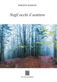 Immagine copertina libro Negli occhi il sentiero