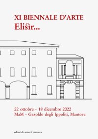 Immagine copertina libro XI Biennale d'arte. Elisìr. Museo d'Arte Moderna dell'Alto Mantovano