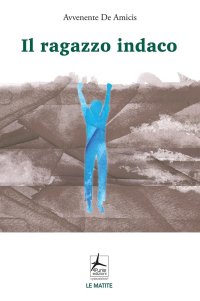 Immagine copertina libro Il ragazzo indaco