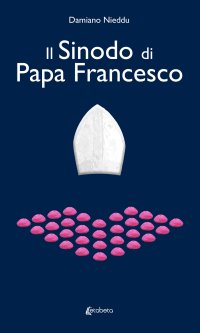 Immagine copertina libro Il sinodo di Papa Francesco